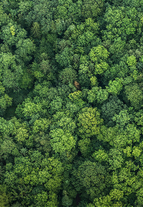 Sustainability